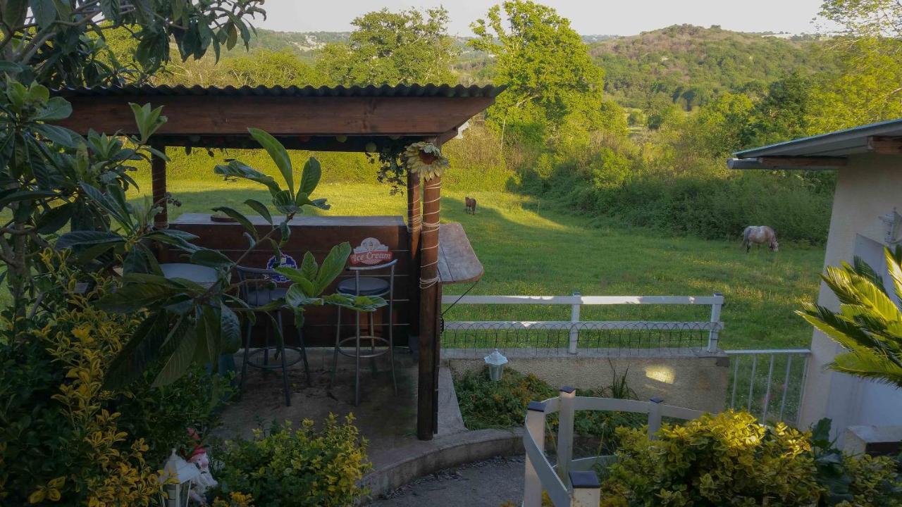 Bed and Breakfast O'Jardin Arthez-de-Bearn Esterno foto