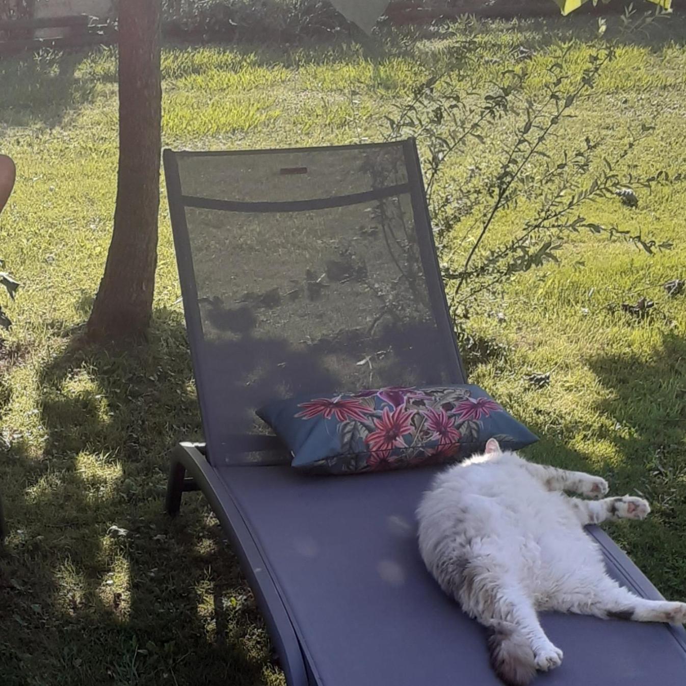 Bed and Breakfast O'Jardin Arthez-de-Bearn Esterno foto